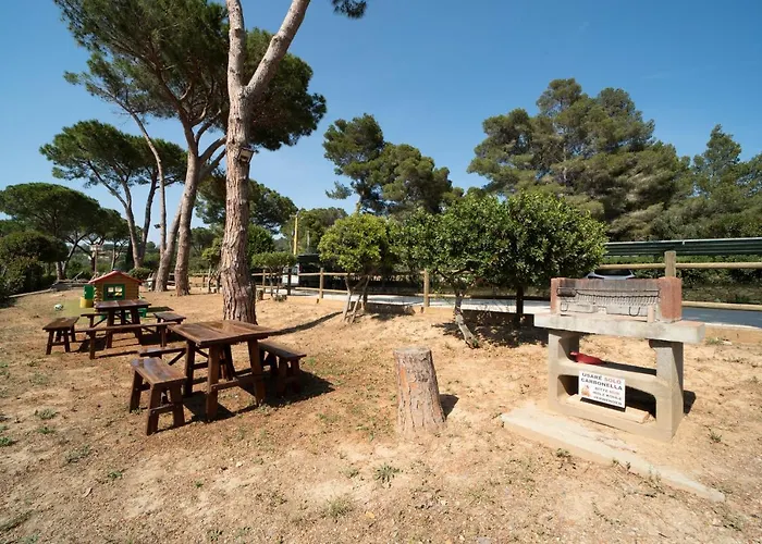 Le Grazie Est Apart Otel 4*