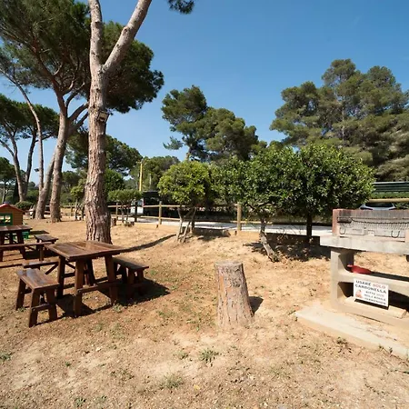 Le Grazie Est Aparthotel 4*